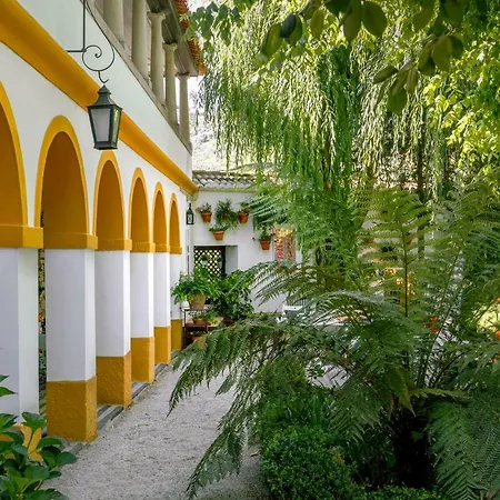 Casa Da Azenha Peso da Régua