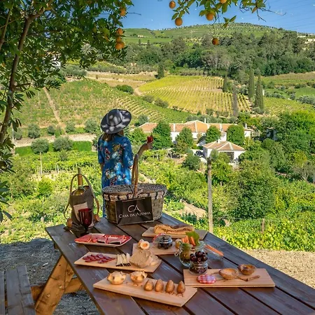 Casa Da Azenha Фермерский дом Пезу-да-Регуа