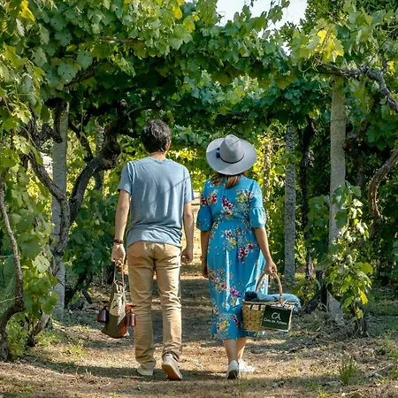 Casa Da Azenha * Peso da Régua