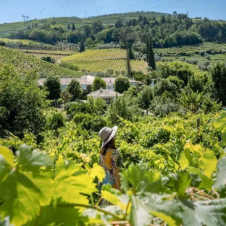 Casa Da Azenha * 比索达雷加