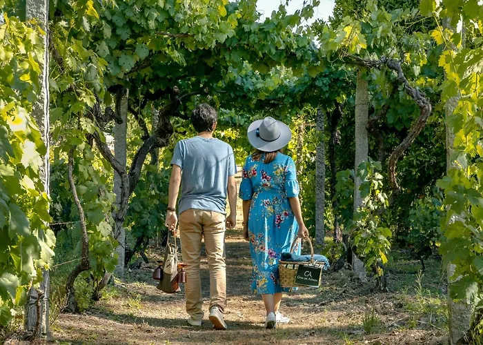 Casa Da Azenha * Peso da Régua