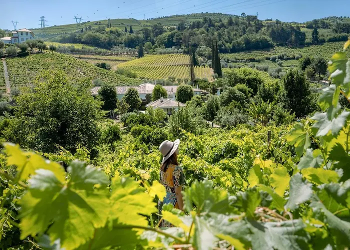 Casa Da Azenha * Peso da Régua